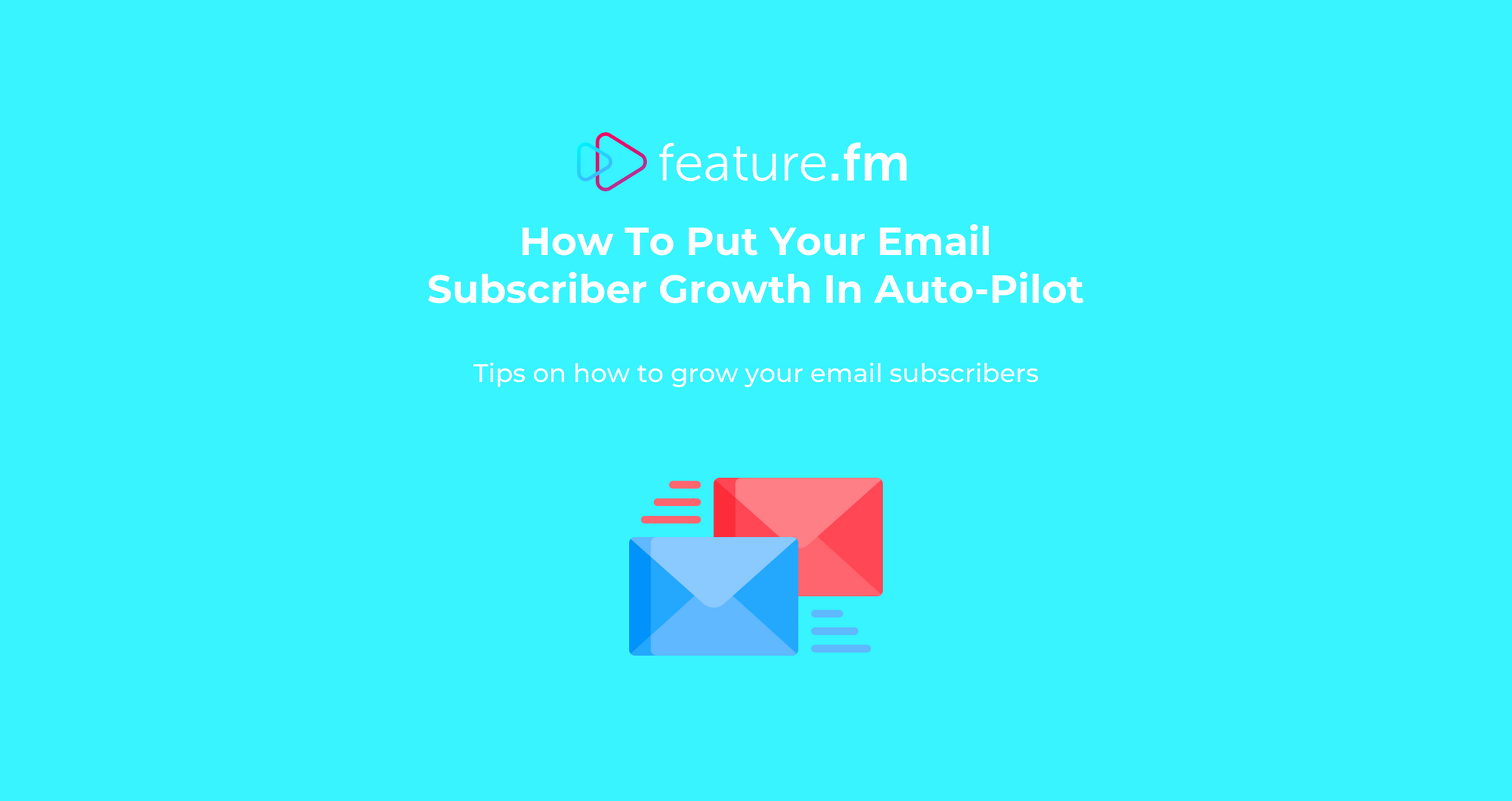Day 11: How to put your email subscriber growth on auto-pilot
